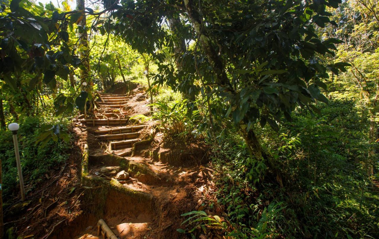 Ela Ecoland Nature Retreat Munnar Exterior foto