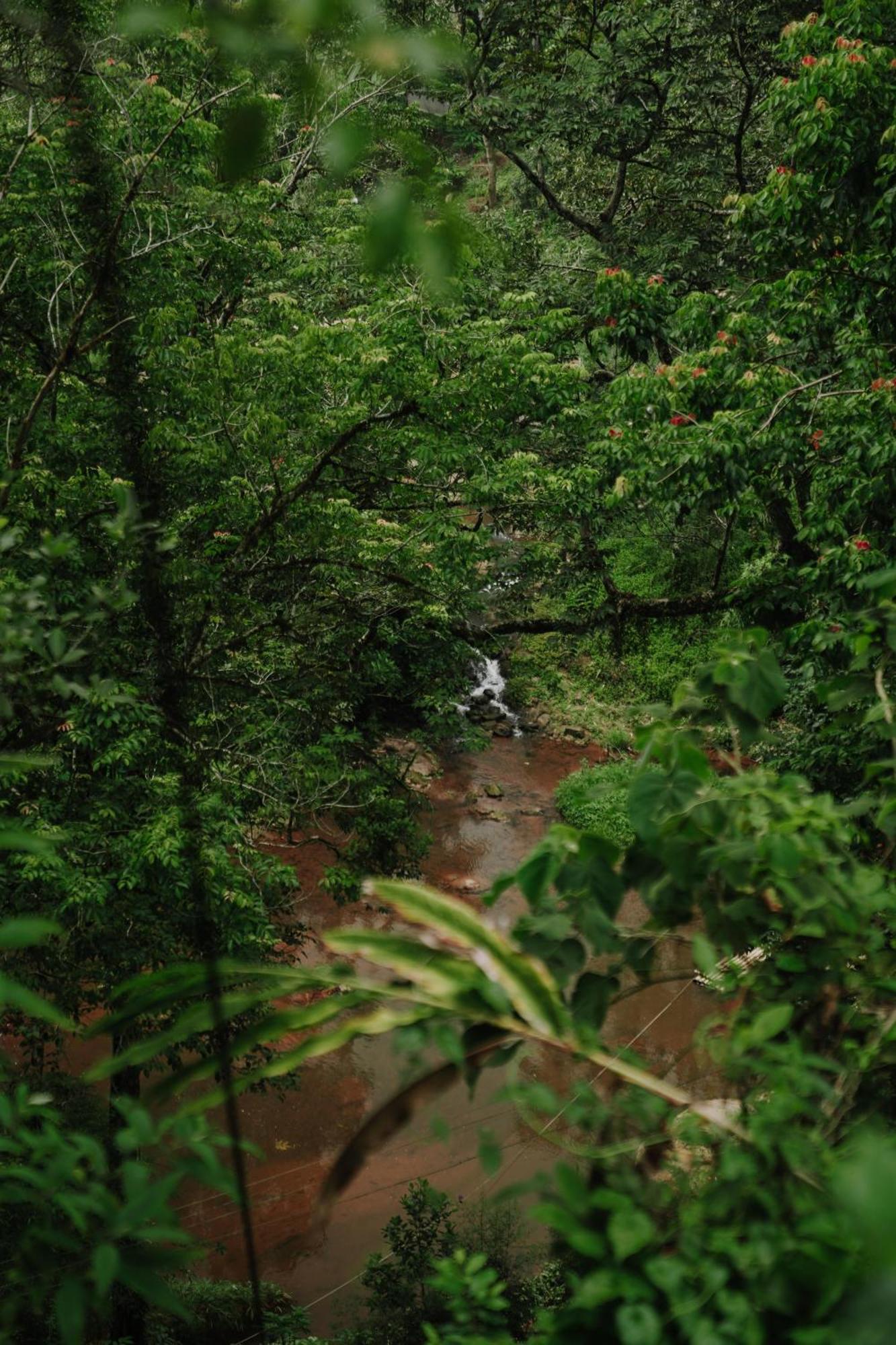 Ela Ecoland Nature Retreat Munnar Exterior foto