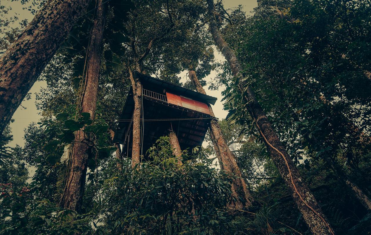 Ela Ecoland Nature Retreat Munnar Exterior foto